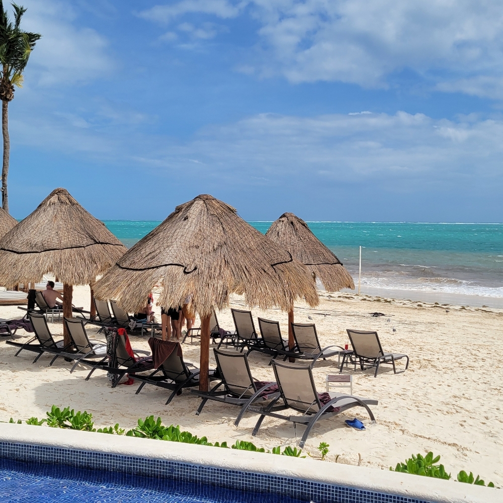 Meet your Posher, Sharon